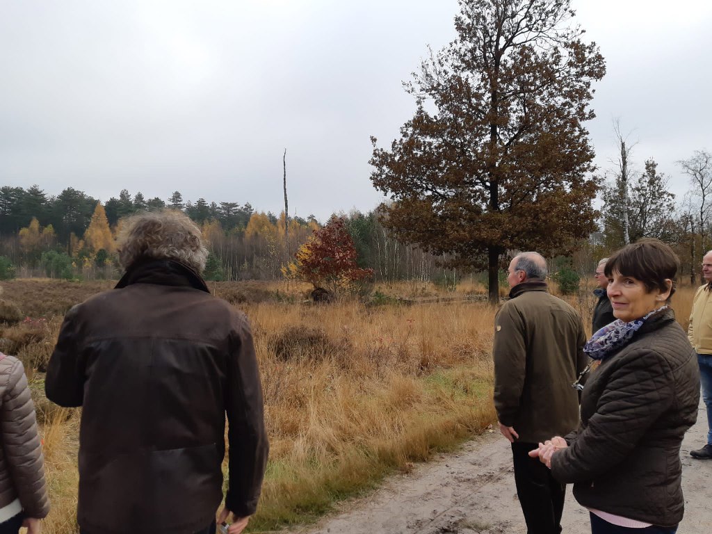 Boswandeling-2